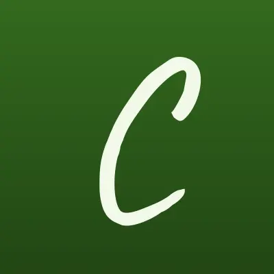 Contact, система денежных переводов, лого-визитка